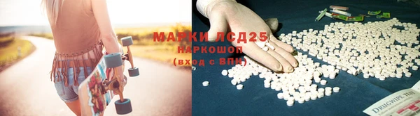 гашик Майский