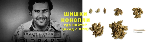 стафф Магадан