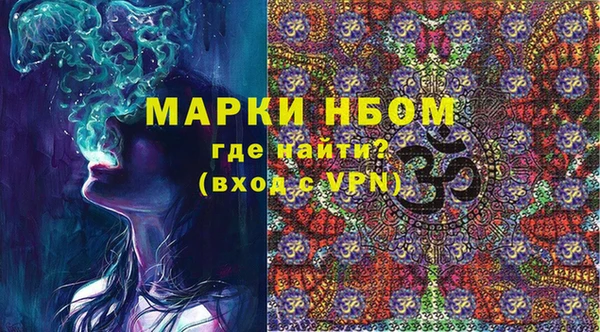 гашик Майский