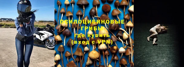 гашик Майский