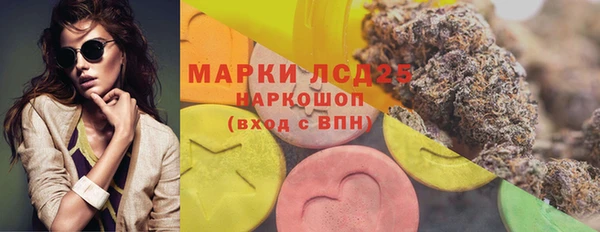 гашик Майский