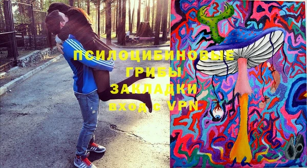 гидропоника Магас